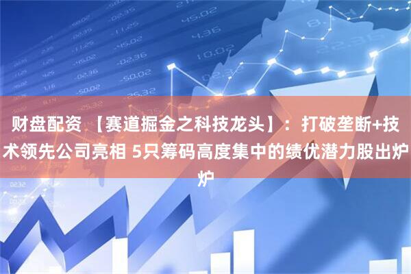 财盘配资 【赛道掘金之科技龙头】：打破垄断+技术领先公司亮相 5只筹码高度集中的绩优潜力股出炉