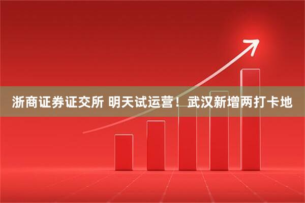 浙商证券证交所 明天试运营！武汉新增两打卡地